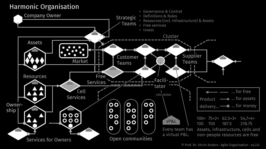 Harmonic Organisation